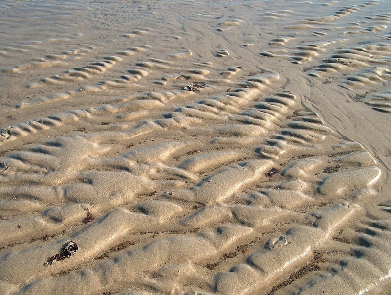 Seashell Cove